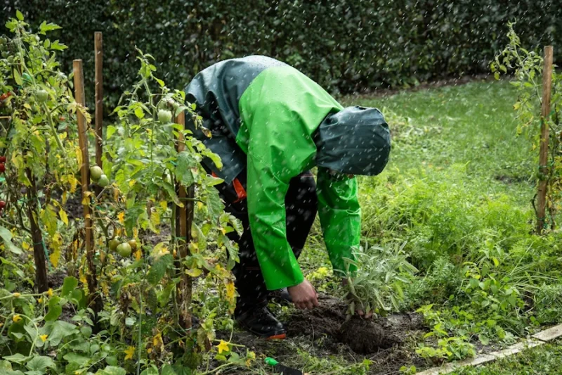 Varför jämställdhet i hemmet är en praktisk fråga